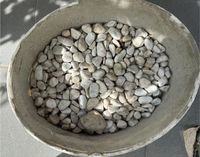 Marmorkies Zierkies Steine in weiss München - Milbertshofen - Am Hart Vorschau