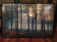 Wald Poster Bild 60x90 cm Bäume melancholisch Forrest Berlin - Steglitz Vorschau