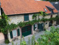 Ferienhaus im Rebenmeer Rheinhessen Rheinland-Pfalz - Guntersblum Vorschau