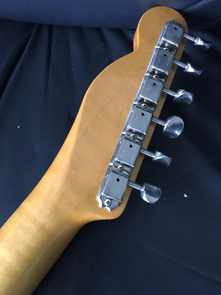 Warmoth Tele La Brea Paisley PU's in Hamburg