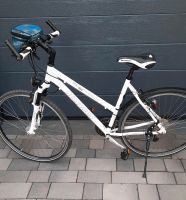 Morrison Mountainbike / Fahrrad Für ne richtige Frau Hessen - Borken Vorschau