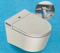 Keramik Dusch-WC mit mehrere Funktionen / Features – Komplettset Rheinland-Pfalz - Ludwigshafen Vorschau