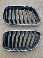 Kühlergrill, Original, Sport-Performance, 2er BMW Nordrhein-Westfalen - Enger Vorschau