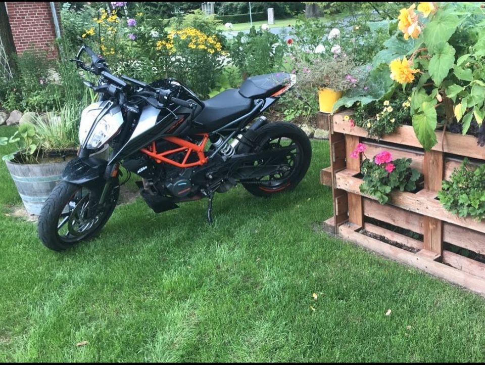 KTM 125 Duke in Selsingen