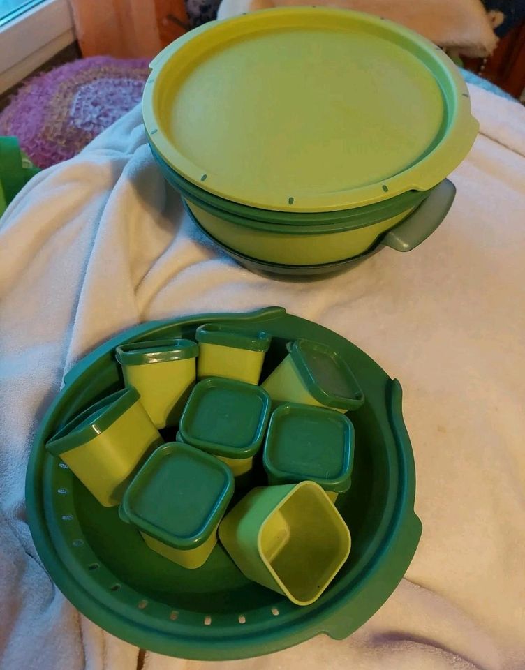 Tupperware Dampf - Garer, Micro - Gourmet + 8 Förmchen +Rezeptbuc in Lunzenau