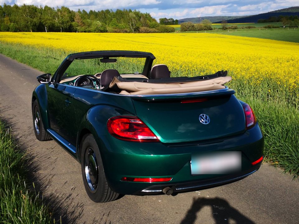 Beetle Cabriolet 1.2 TSI DSG Blue Motion Tec in Taunusstein