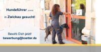 Hundeführer Sicherheitsmitarbeiter (m/w/d) für Zwickau Sachsen - Zwickau Vorschau