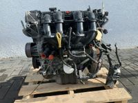 Motor 81tkm Ford Fiesta VI 1,25 SNJA SNJB SNJC 60KW 82PS Niedersachsen - Langwedel Vorschau