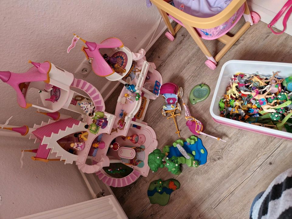 Playmobil Prinzessinenschloss, mit viel Zubehör in Rendsburg