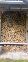 Brennholz Ahorn Scheitlänge 33 cm 1.1 rm Brandenburg - Werneuchen Vorschau