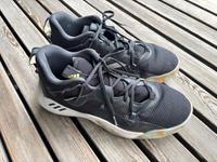 Adidas Harden Stepback 3 Basketballschuhe Größe 47 Bayern - Türkheim Vorschau