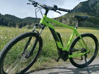 Cube reaction E Bike Bosch CX Bayern - Hindelang Vorschau