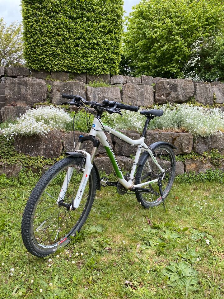 Steppenwolf MTB 26 Zoll, Fahrrad Mountainbike in Üchtelhausen