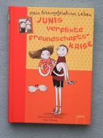 Kinderbuch "Junis verflixte Freundschaftskrise" Dresden - Gompitz Vorschau