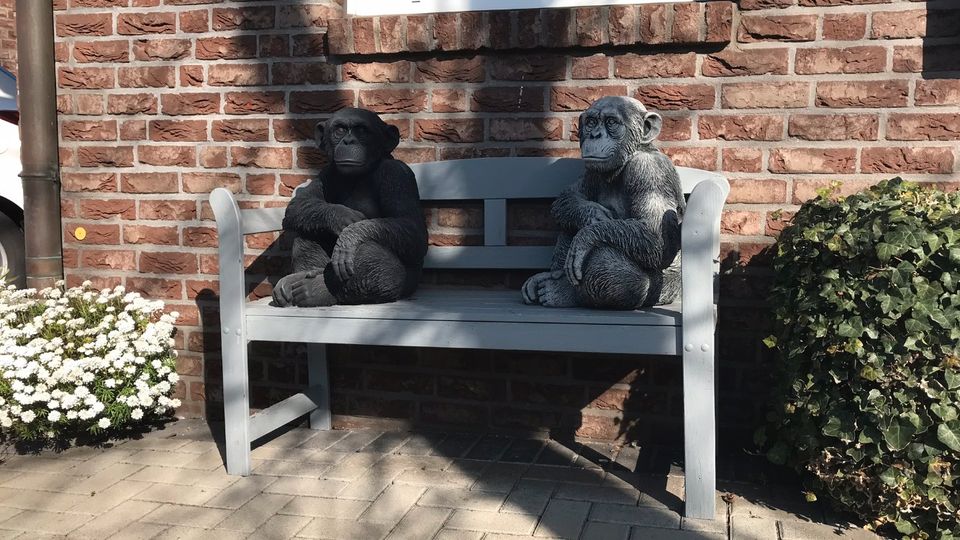 ‼️Schimpanse 52cm Chita Bonobo Steinguss Affe Affen Menschenaffe in Goch