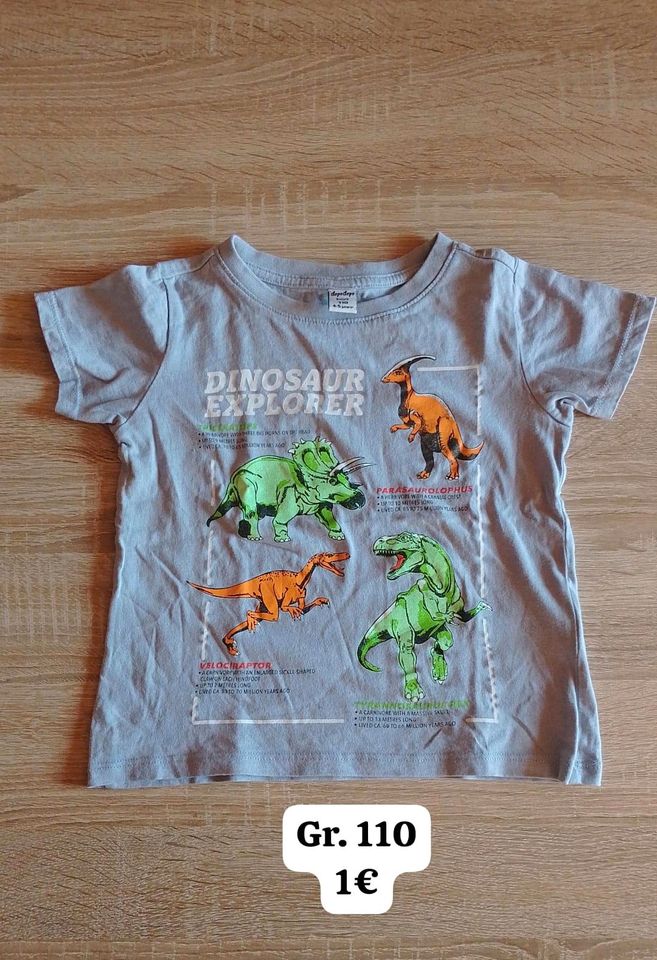 Jungen T-Shirt Gr.110  " Dinosaurier" in Unterwellenborn