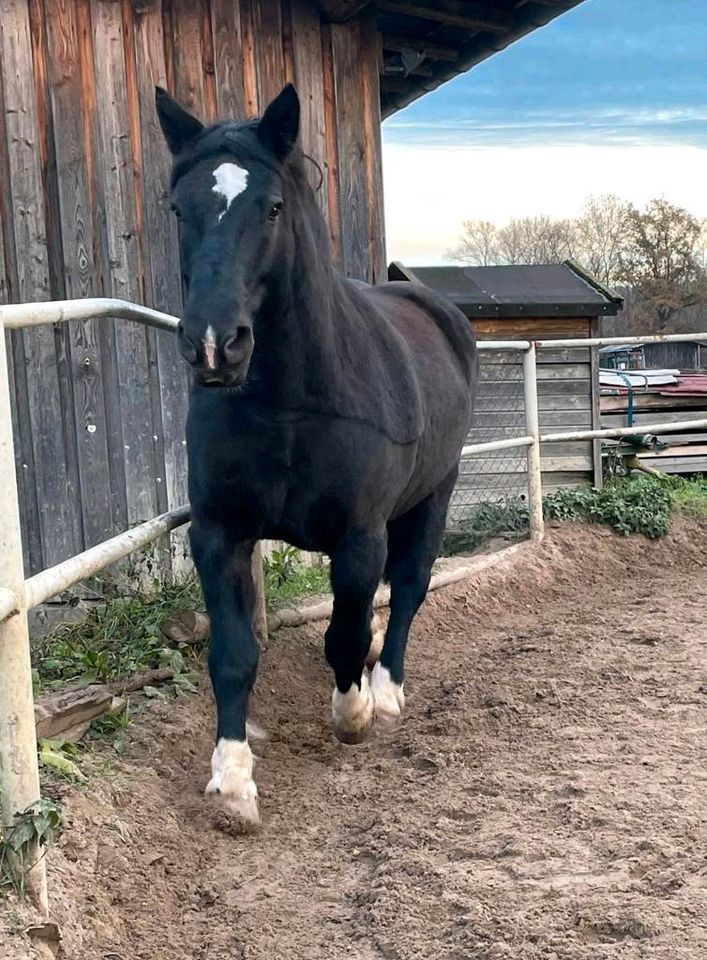 Stellplatz im Raum Jena gesucht in Jena