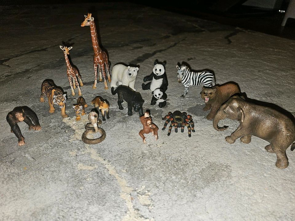 Schleich Tiere Wildtiere in Rosenheim