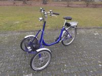 E Bike Dreirad Fahrrad T Bike Akku neu Elektromobil Niedersachsen - Schüttorf Vorschau