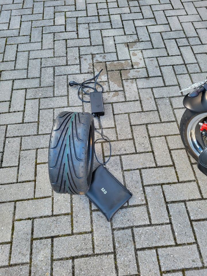 SXT Grizzy Elektro Scooter / Roller in Bad Gandersheim
