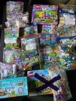 Lego Friends Paket Sammlung diverse Sets Nordrhein-Westfalen - Hennef (Sieg) Vorschau