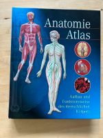 Anatomie Atlas Rheinland-Pfalz - Mainz Vorschau