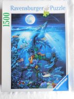 Versteinerter Delfin Meer Puzzle 1500 Teile von Ravensburger Hannover - Ricklingen Vorschau