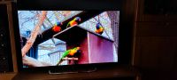Smart-TV Sony 42 Zoll Schleswig-Holstein - Willenscharen Vorschau
