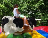 Für Kirmes / Bullriding / Hau den Lukas / Bierglasschieben mieten Sachsen-Anhalt - Naumburg (Saale) Vorschau