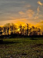 Freie Weidefläche / Offenstallplatz für Pferde an Selbstversorger Brandenburg - Dallgow Vorschau