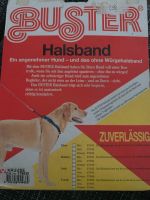 Halsband für Hunde Größe S Farbe blau Nordrhein-Westfalen - Gelsenkirchen Vorschau