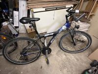 Montainbike (26 Zoll) Nordrhein-Westfalen - Beverungen Vorschau