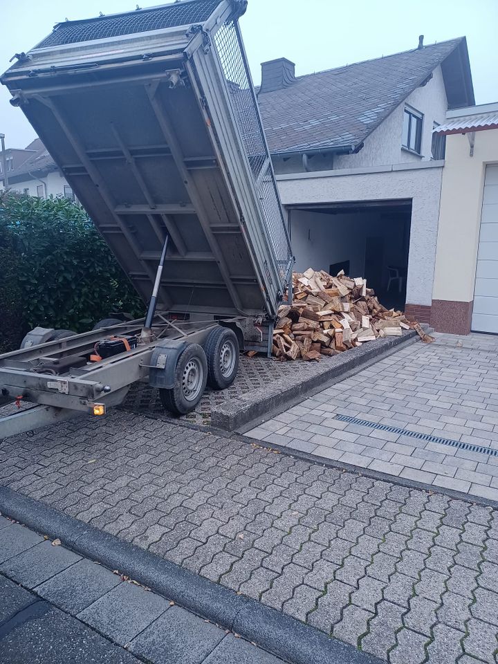 Brennholz jetzt einlagern in Neuwied