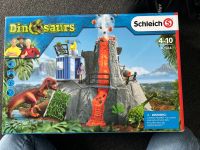 Schleich Dinosaurs/Vulkan Nordrhein-Westfalen - Lindlar Vorschau