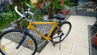 gut erhaltenes Mountainbike von GIANT zu verkaufen Baden-Württemberg - Offenburg Vorschau