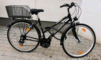 Damen Fahrrad Trekking EXCELSIOR Winterausstattung mit Spikes Hessen - Gießen Vorschau