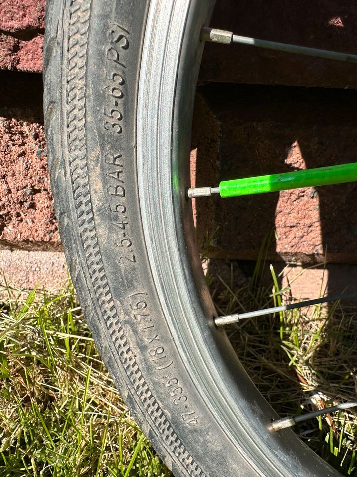 Puky 18 Zoll Kinderfahrrad in Blankenburg (Harz)