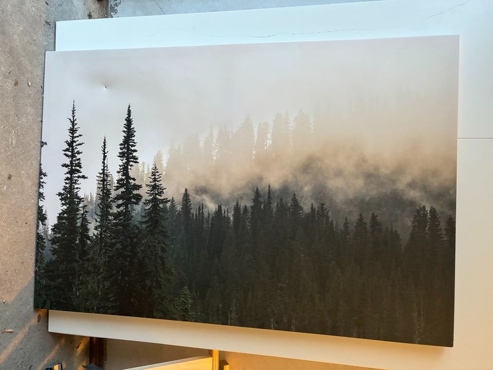 Wandbild Wald Natur Leinwand Bild in Angelmodde