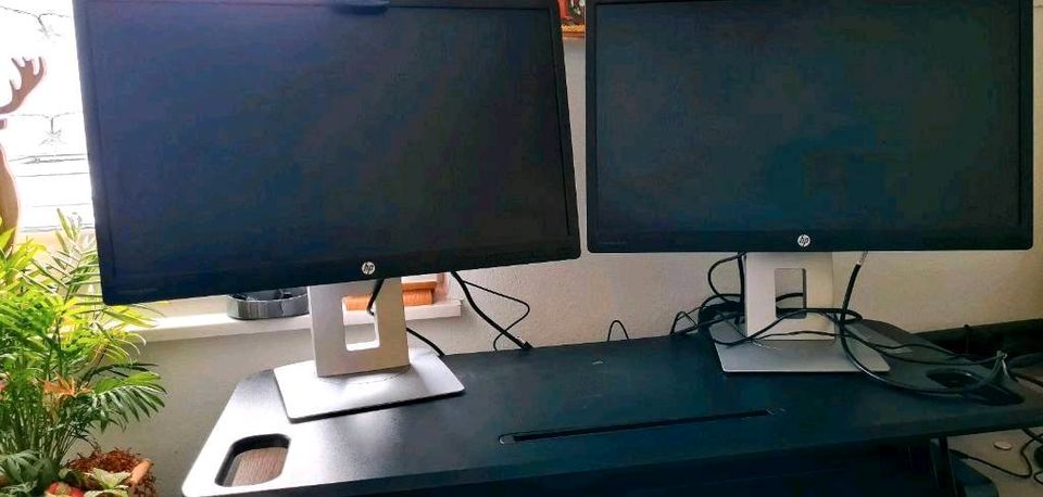 HP E240 Monitor + Sit Stand Workstation (Wie Neue) in Altenstadt