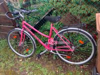Damenfahrrad 28 Zoll rosa 3 Gang Maverick Trakking Rad Fahrrad Rheinland-Pfalz - Worms Vorschau