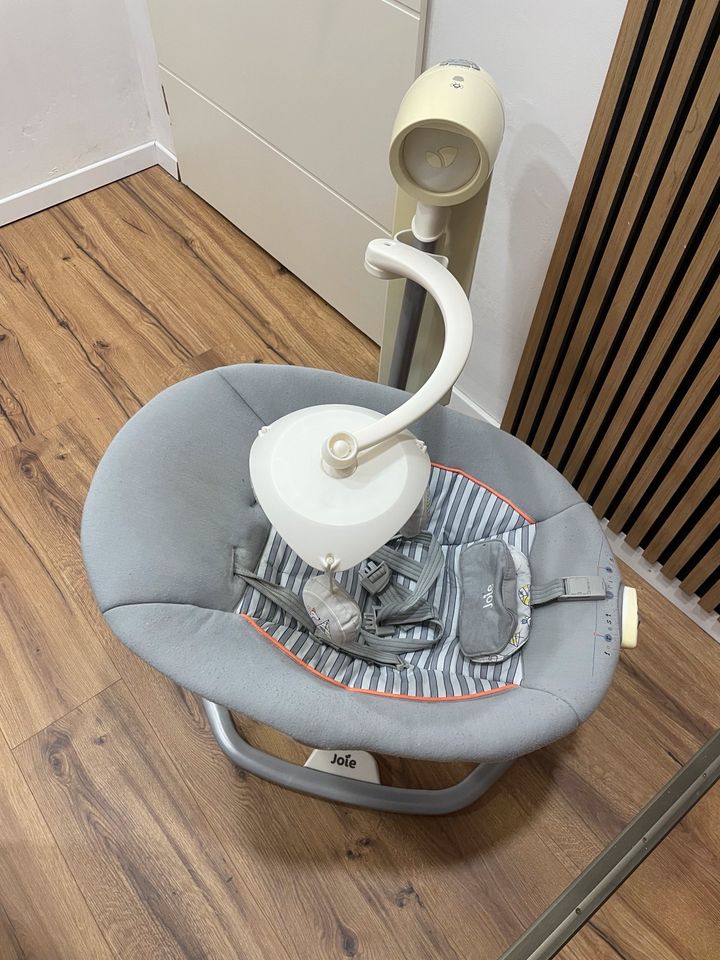 Elektrische Babyschaukel in Fürth
