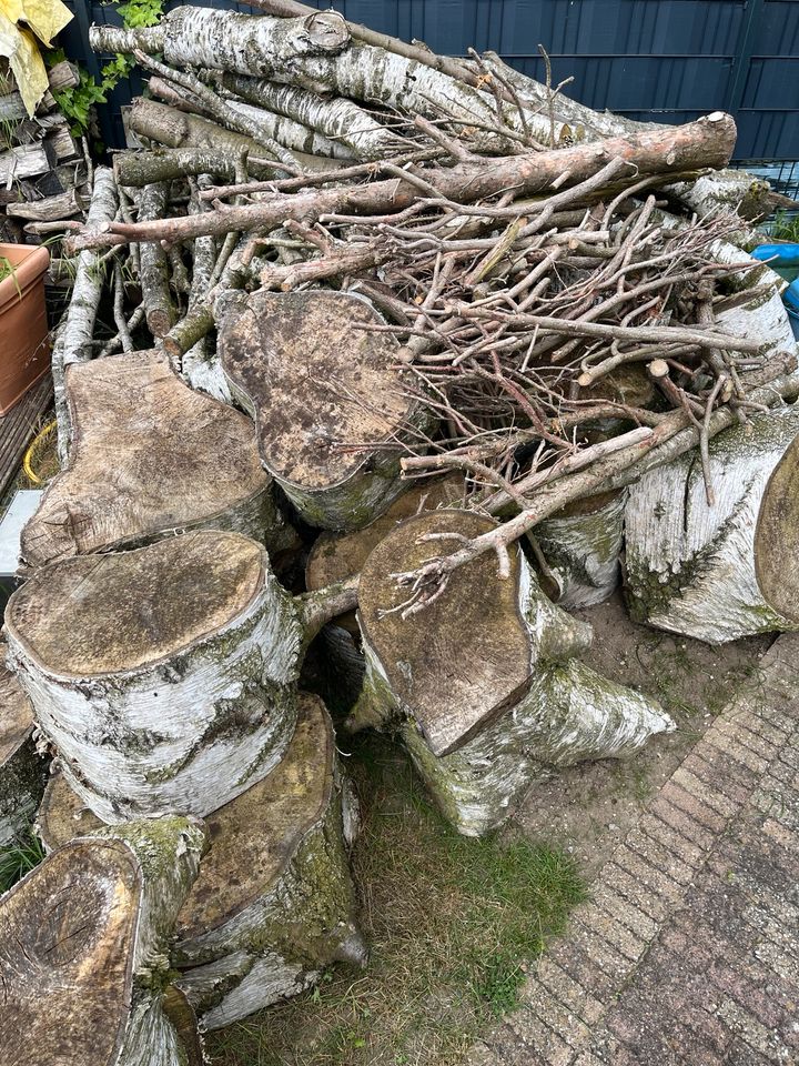 Brennholz zu verkaufen Birke in Xanten