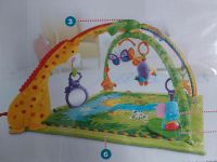 Fisher-Price Rainforest deluxe Baby gym Rheinland-Pfalz - Salmtal Vorschau