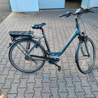 Herkules e-bike Tiefeinstieg 55 Bayern - Vilsheim Vorschau