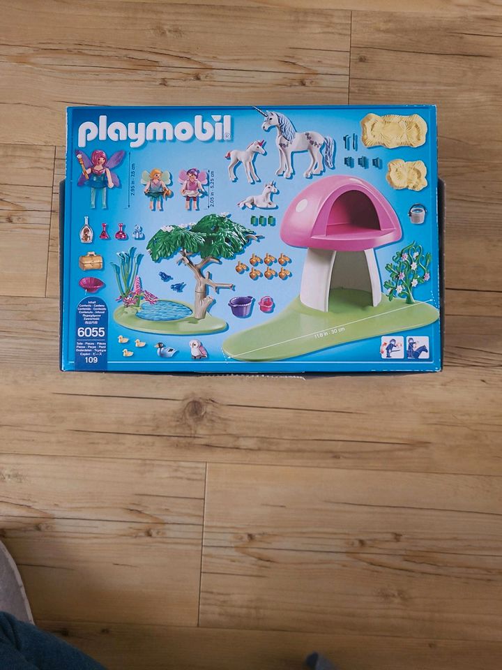 Playmobil 6055 in Nörten-Hardenberg