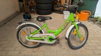 18 Zoll Puky Fahrrad Kinderfahrrad grün voll funktionstüchtig Dresden - Hellerberge Vorschau