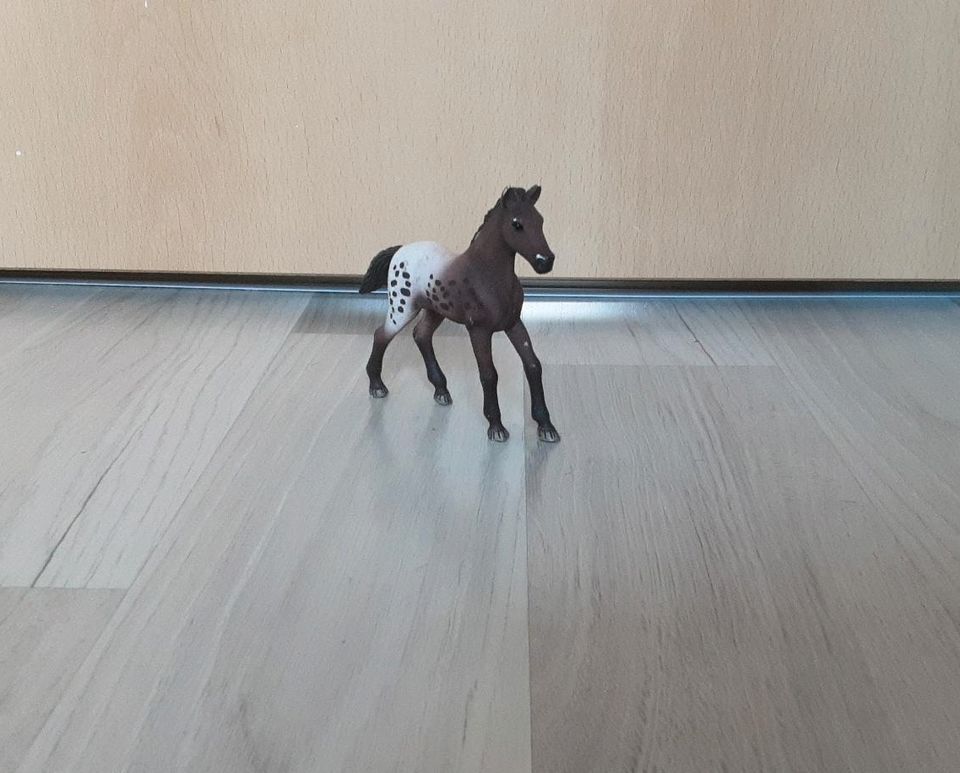 Schleich Appaloosa Fohlen Nr. 13862 in Berlin