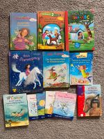 Erstlese Bücher Mädchen Pferde Einhorn Fee Meerjungfrau Hexe Bayern - Altenmarkt Vorschau