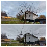 Obstbaumschnitt Baumpflege Baumschnitt Gartenpflege Sachsen - Freital Vorschau