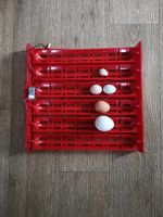 Wendehorde Inkubator für verschiedene Eier Bayern - Lalling Vorschau